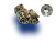 skin1